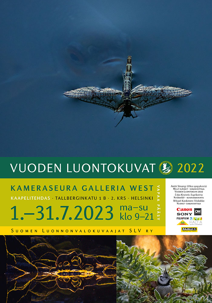 Vuoden Luontokuvat 2022 - Kameraseura Galleria West