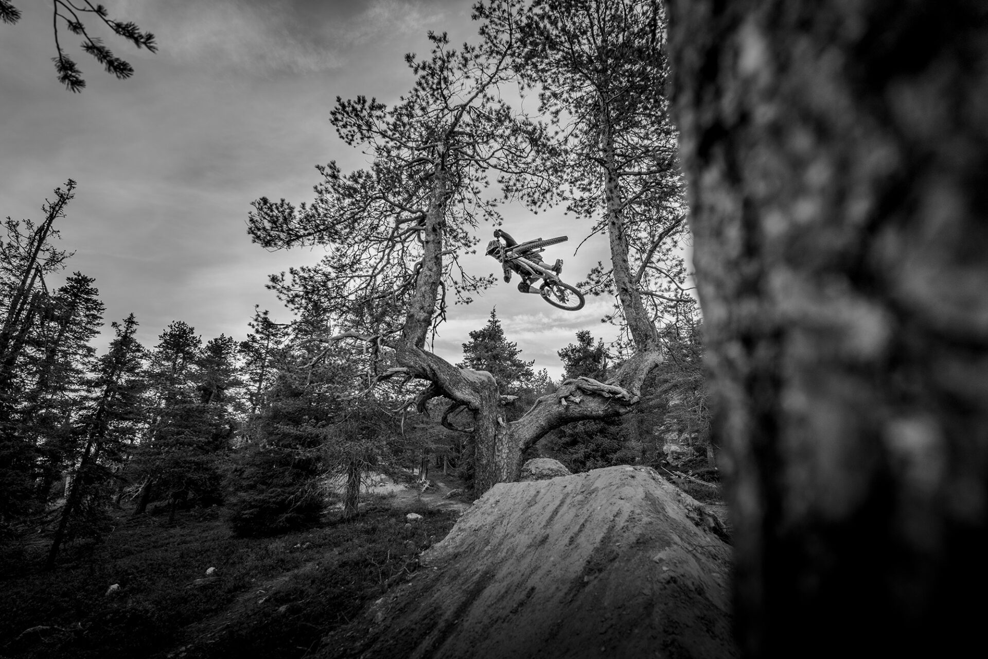 HECC August Meetup – Mountain Biking Photography Class