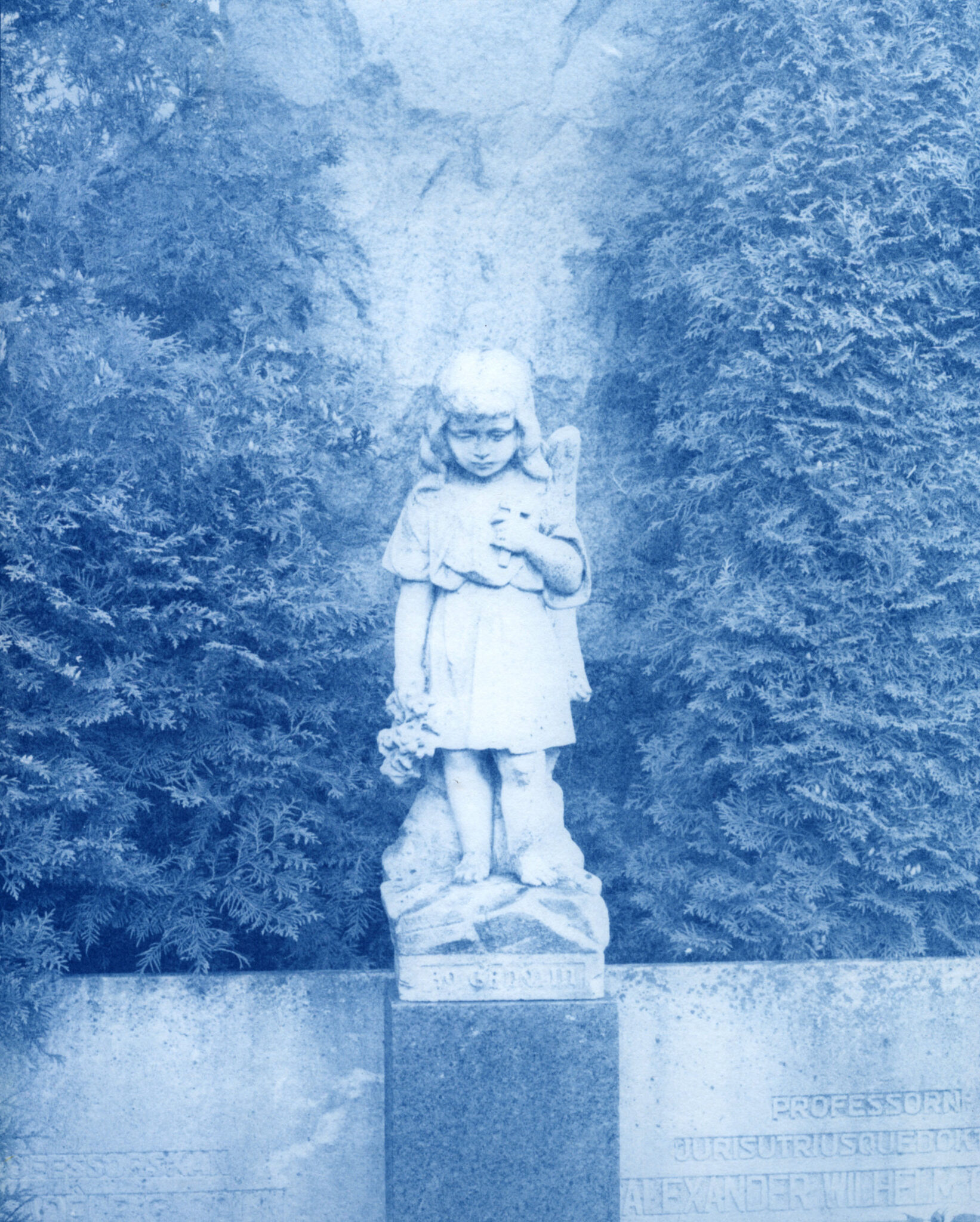 Patsas, syanotypia, Pentti Somerharju